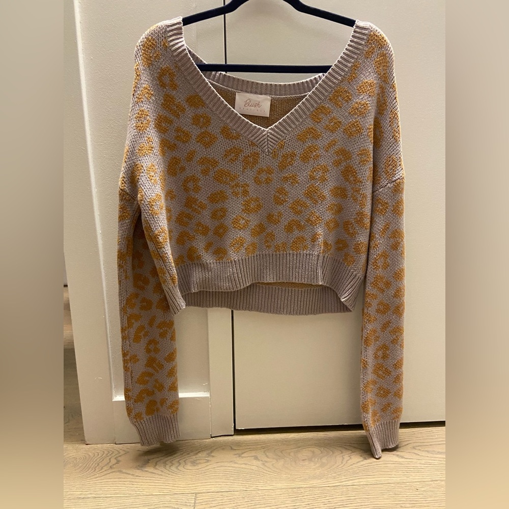 Cheetah Sweater Form Boutique.